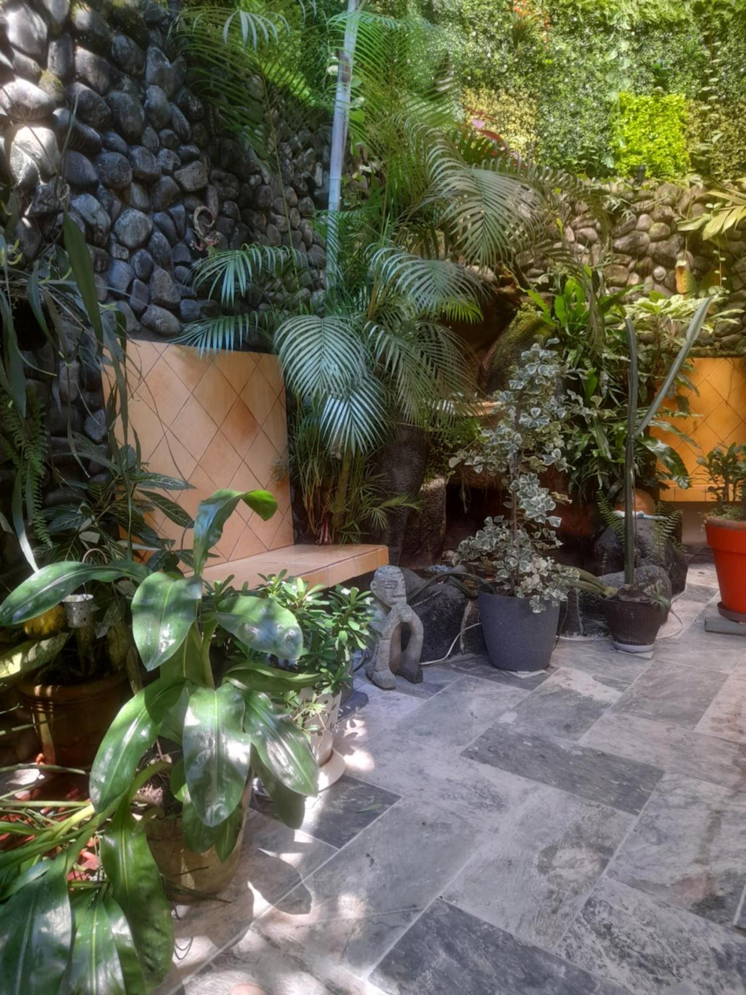 Coyaba Tropical Elegant Adult Guesthouse Manuel Antonio Exterior photo